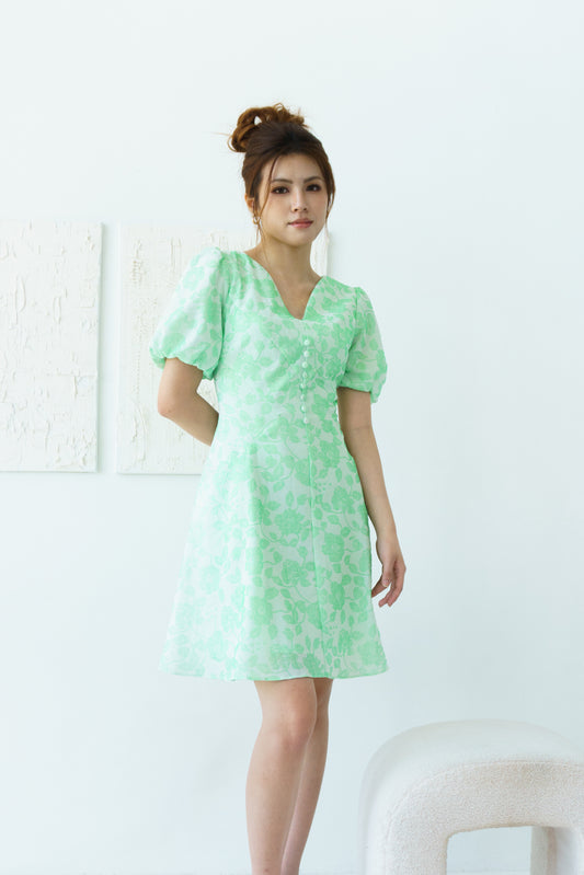 Meadow Dress (Mint Green)