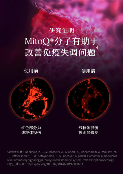 【白金礼包】MitoQ Curcumin 姜黄素胶囊3瓶/ 赠MitoQ 3D立体口罩5 个
