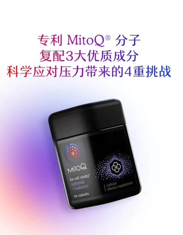 【白金礼包】MitoQ Adrenal +Balance 解压胶囊60粒 (情绪平稳)x3瓶