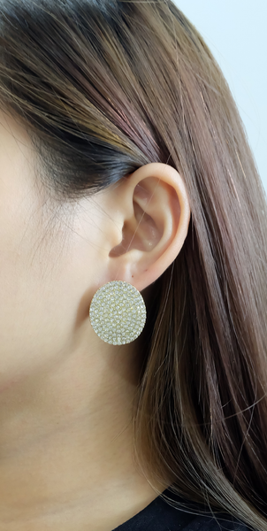 E3001 [EARRING]